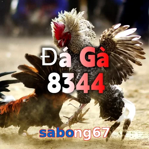 sabong67